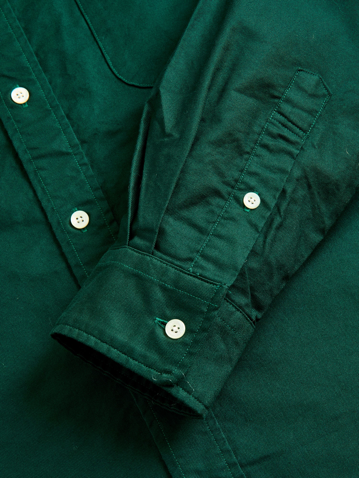 Oxford Button-Down Shirt in Green - Image 4