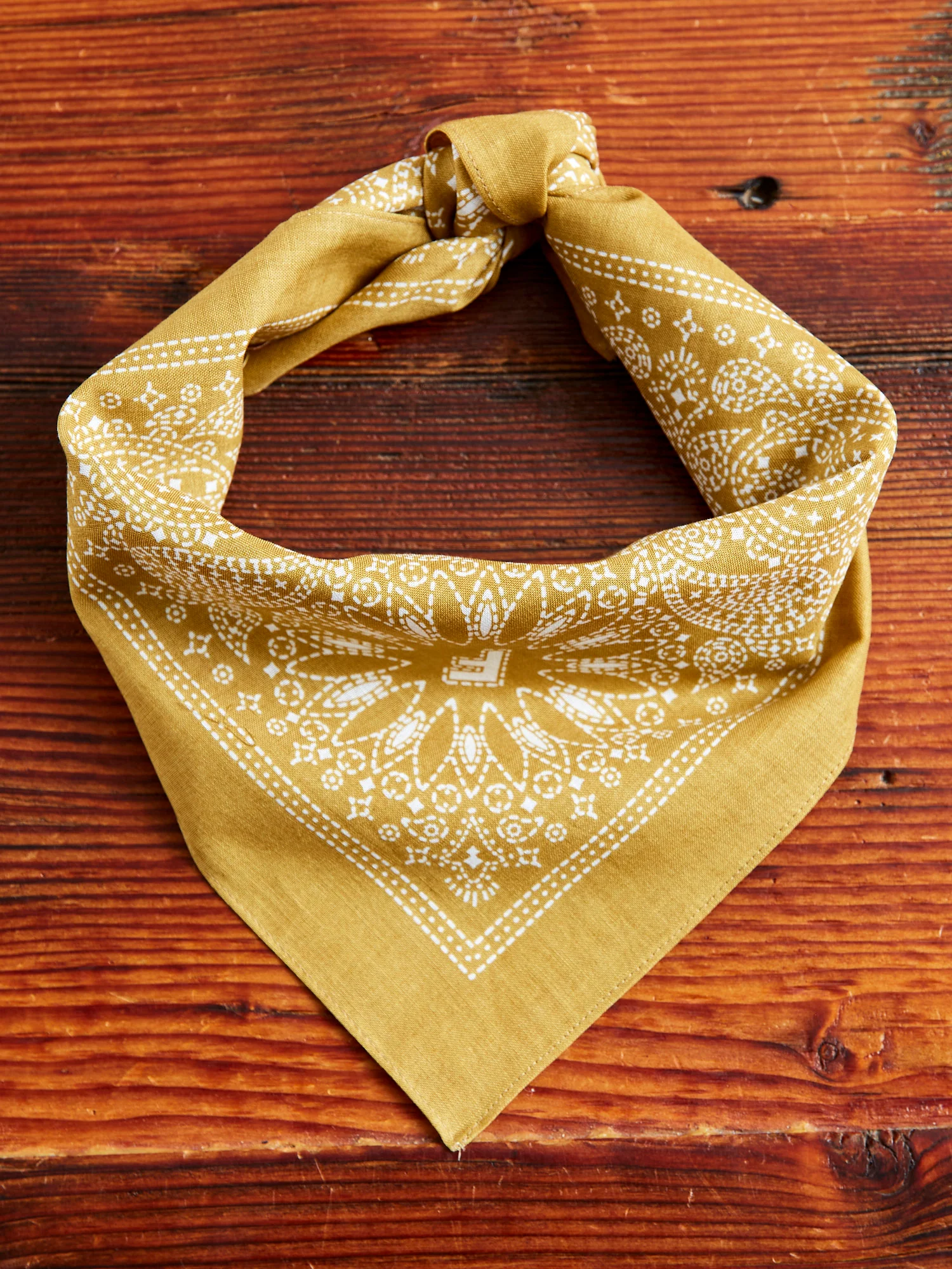 Paisley Bandana in Mustard - Image 2